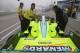 IRL: Scott Dixon d�croche la p�le - Alex Tagliani est 21e (+photos)