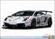 Lamborghini highlights two special models