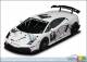Lamborghini pr�sente deux mod�les d'exception