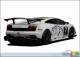 Lamborghini pr�sente deux mod�les d'exception