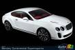 Bentley Continental Supersports, a (almost) green Bentley Bentley Continental Supersports, a (almost) green Bentley