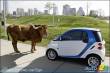 car2go goes USA : 200 (smart) reasons for rediscovering city driving in Austin, Texas car2go goes USA : 200 (smart) reasons for rediscovering city driving in Austin, Texas