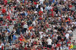NASCAR NAPA 200: Victoire surprise de Carl Edwards NASCAR NAPA 200: Victoire surprise de Carl Edwards