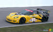 ALMS: Title for Acura and the Fernandez/Diaz duo as Brabham and Sharp win in Mosport