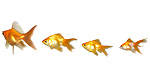 Nissan Collision-Free Driving By Mimicking Fish Behaviour