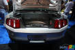 SEMA 2009 : Ford mise sur la puissance (photos)