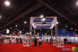 SEMA 2009 - Day 3: Specializing is their specialty (photos and video)