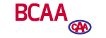 CHILD PASSENGER SAFETY THE FOCUS OF NEW BCAA/ICBC PROGRAM