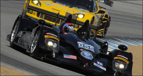 ALMS.com