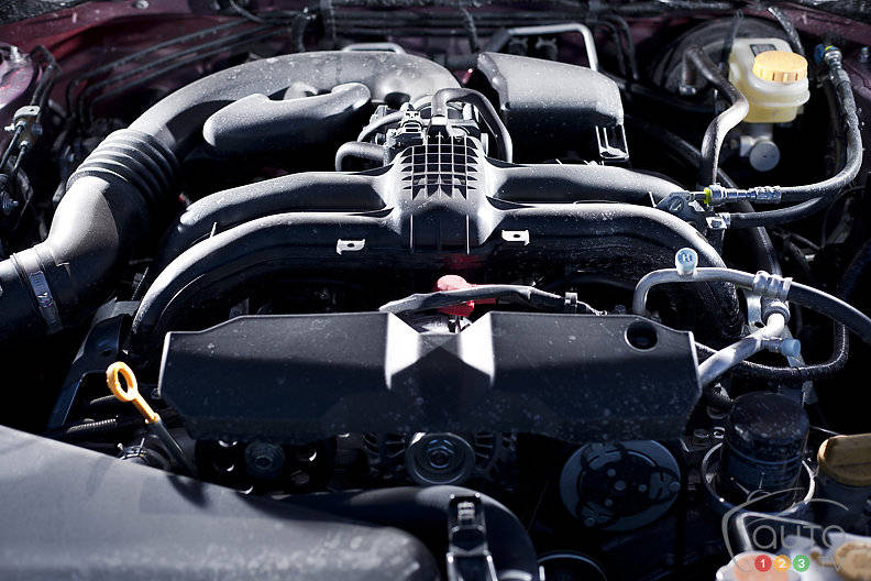 Photo: Sébastien D'Amour