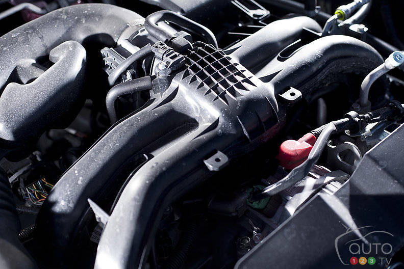 Photo: Sébastien D'Amour