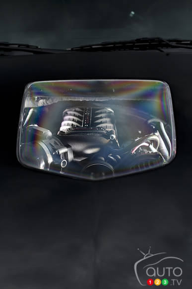 Photo: Sébastien D'Amour