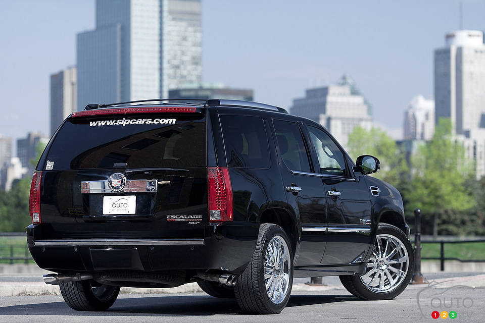 Photo: Sébastien D'Amour