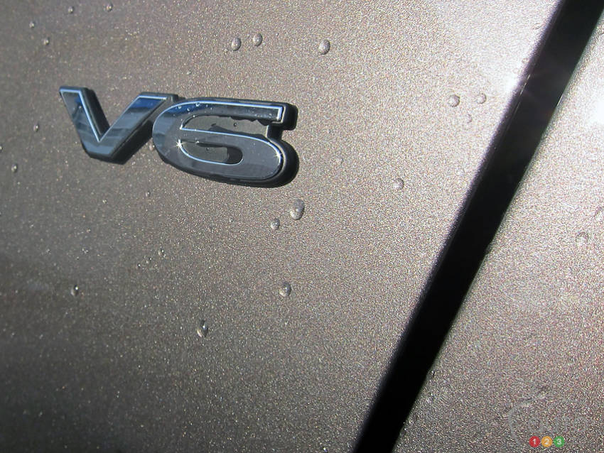 Photo: Lesley Wimbush