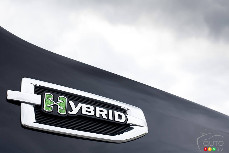 Photo: Sébastien D'Amour