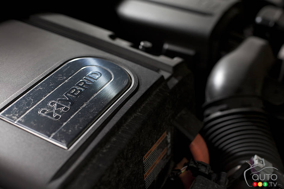 Photo: Sébastien D'Amour