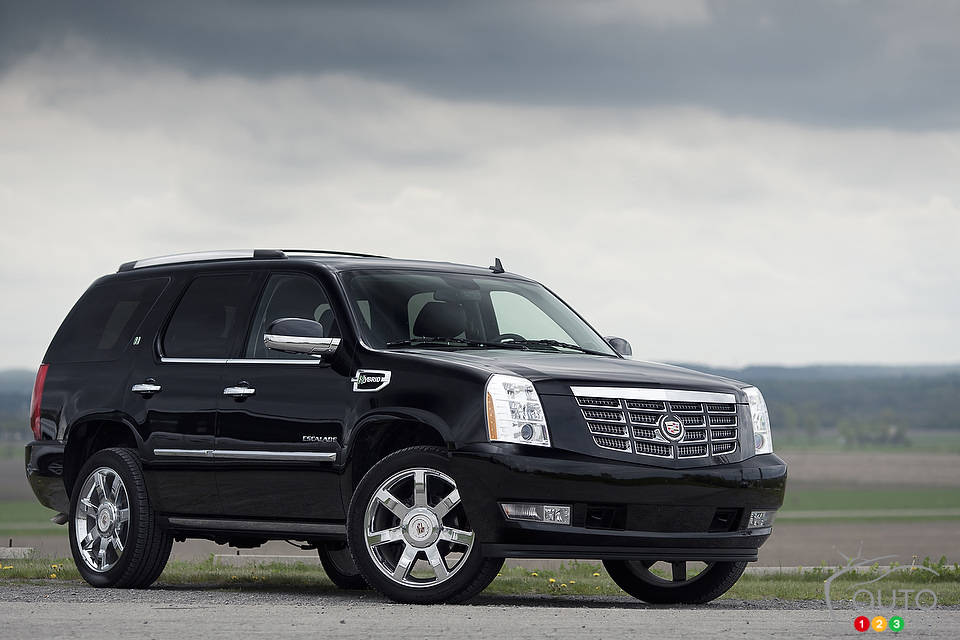 Photo: Sébastien D'Amour