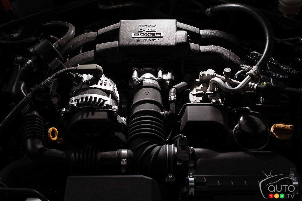 Photo: Sébastien D'Amour