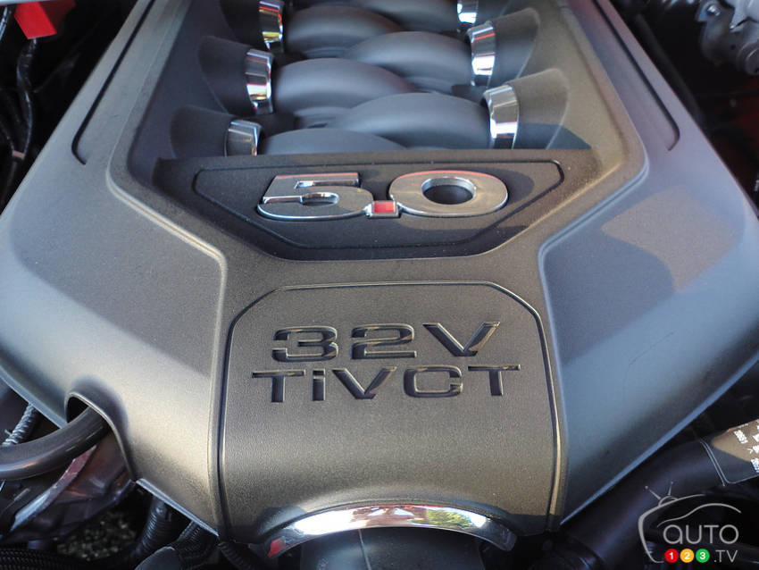 Photo: Kevin Corrigan