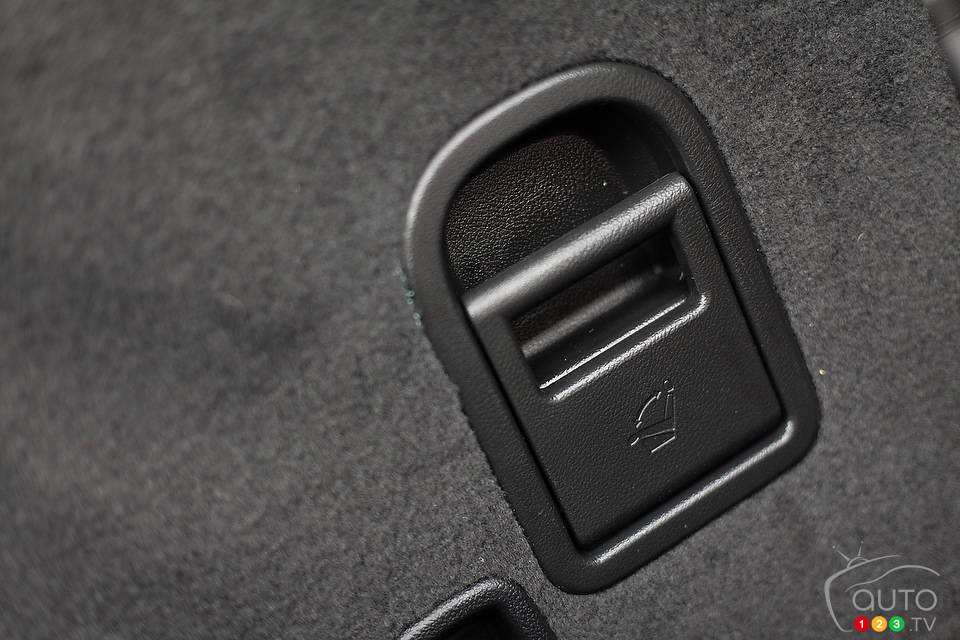 Photo: Sébastien D'Amour