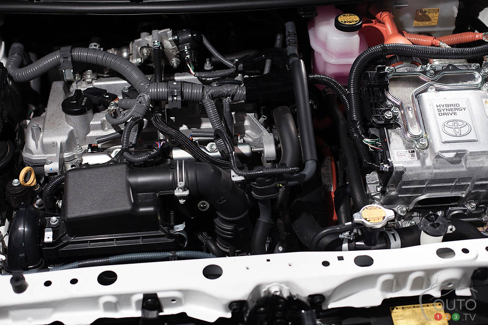 Photo: Sébastien D'Amour