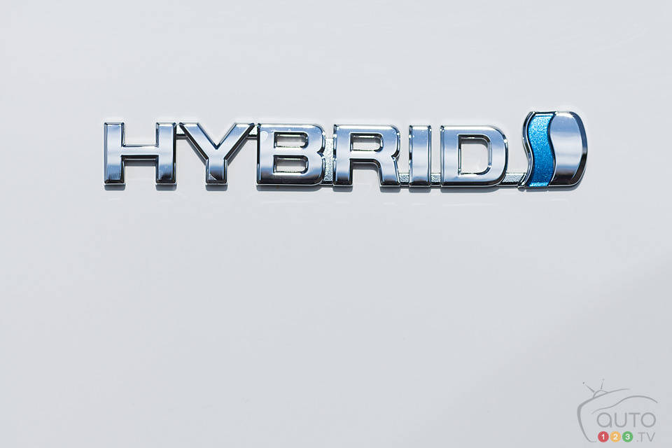 Photo: Sébastien D'Amour