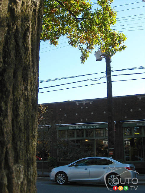 Photo: Miranda Lightstone