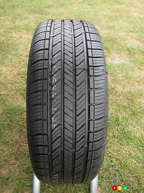 Photo: Lesley Wimbush