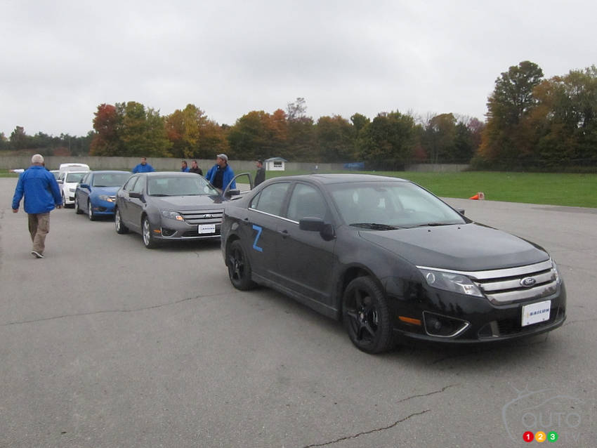 Photo: Lesley Wimbush