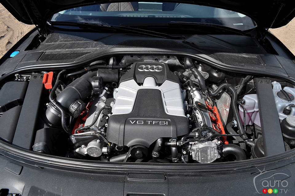 Photo: Mathieu St-Pierre