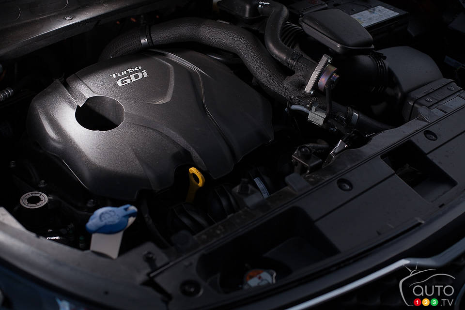 Photo: Sébastien D'Amour