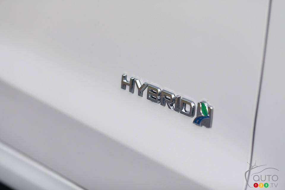 Photo: Sébastien D'Amour