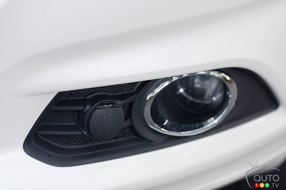 Photo: Sébastien D'Amour