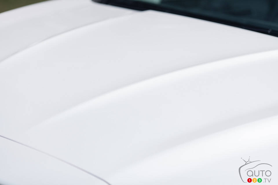 Photo: Sébastien D'Amour