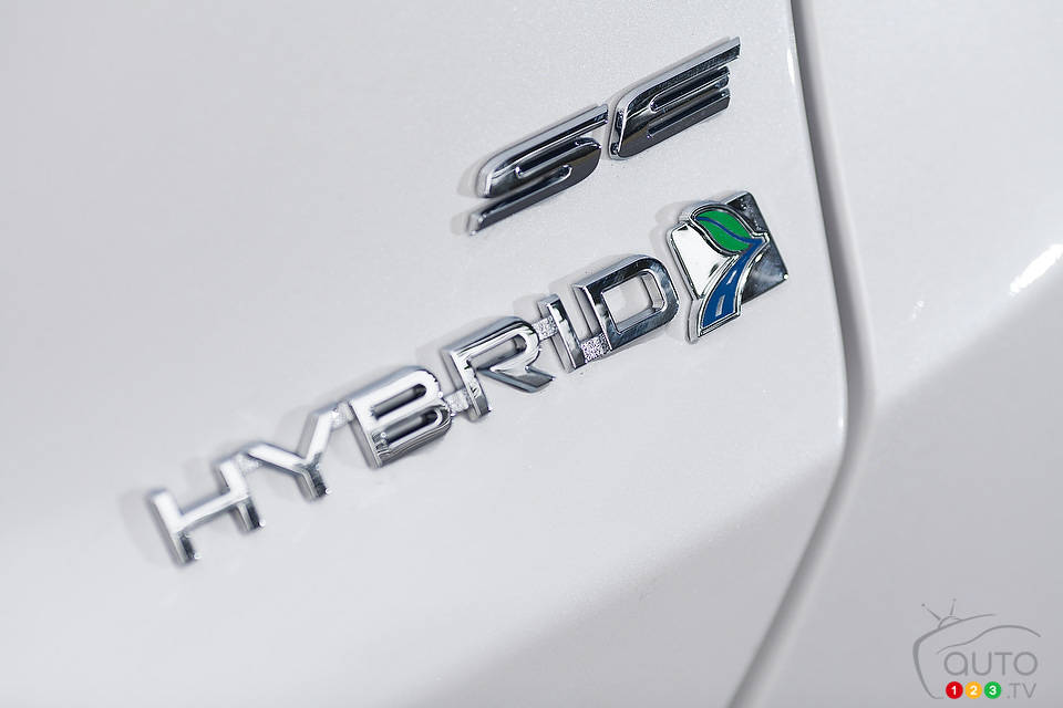 Photo: Sébastien D'Amour