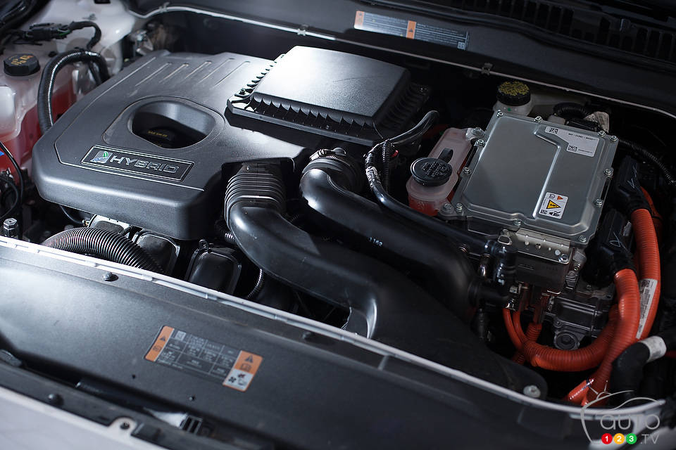 Photo: Sébastien D'Amour