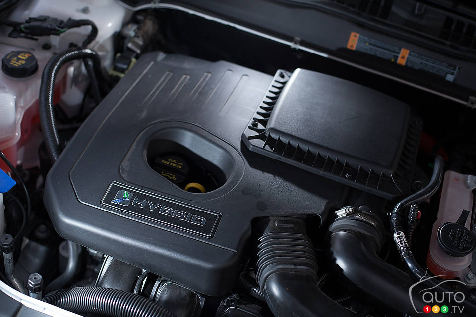 Photo: Sébastien D'Amour