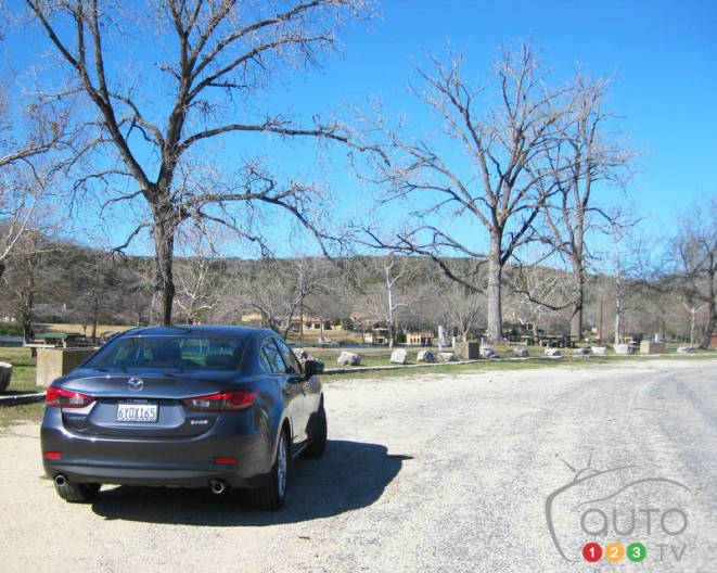 Photo: Miranda Lightstone