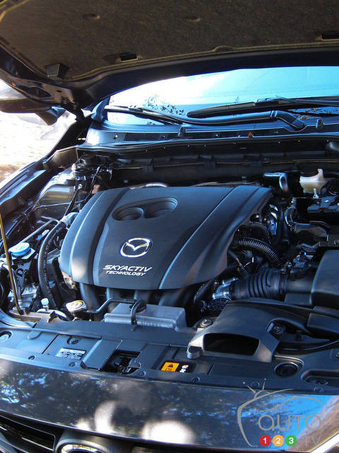 Photo: Miranda Lightstone