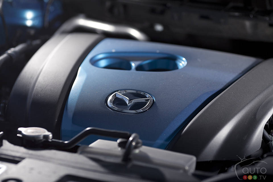 Photo: Sébastien D'Amour