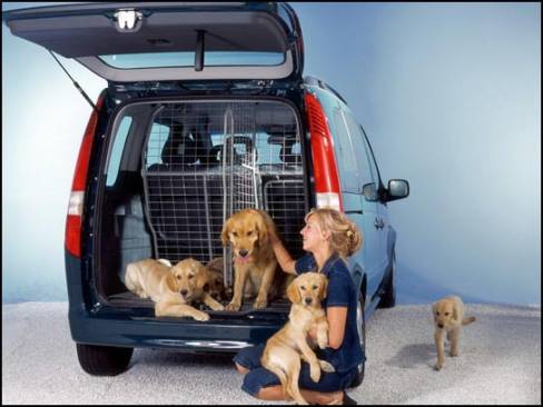 2003 Mercedes-Benz Vaneo