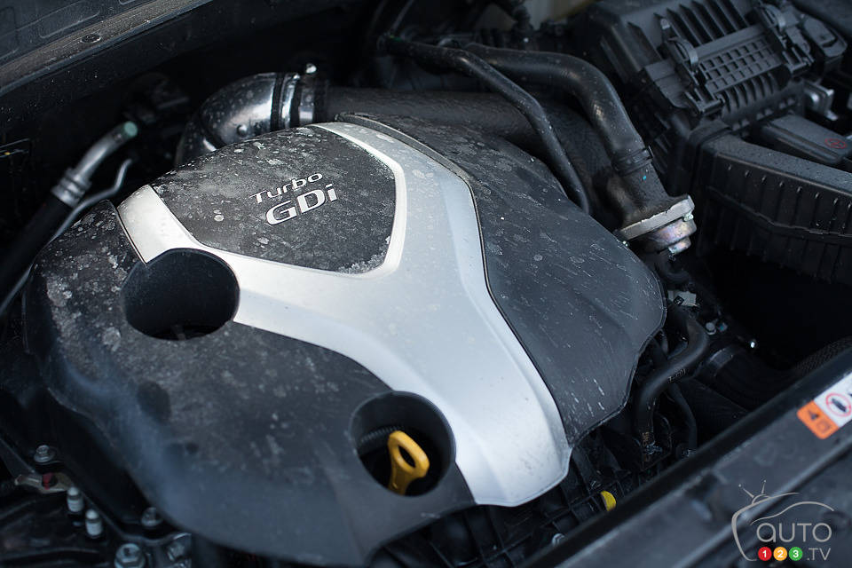 Photo: Sébastien D'Amour