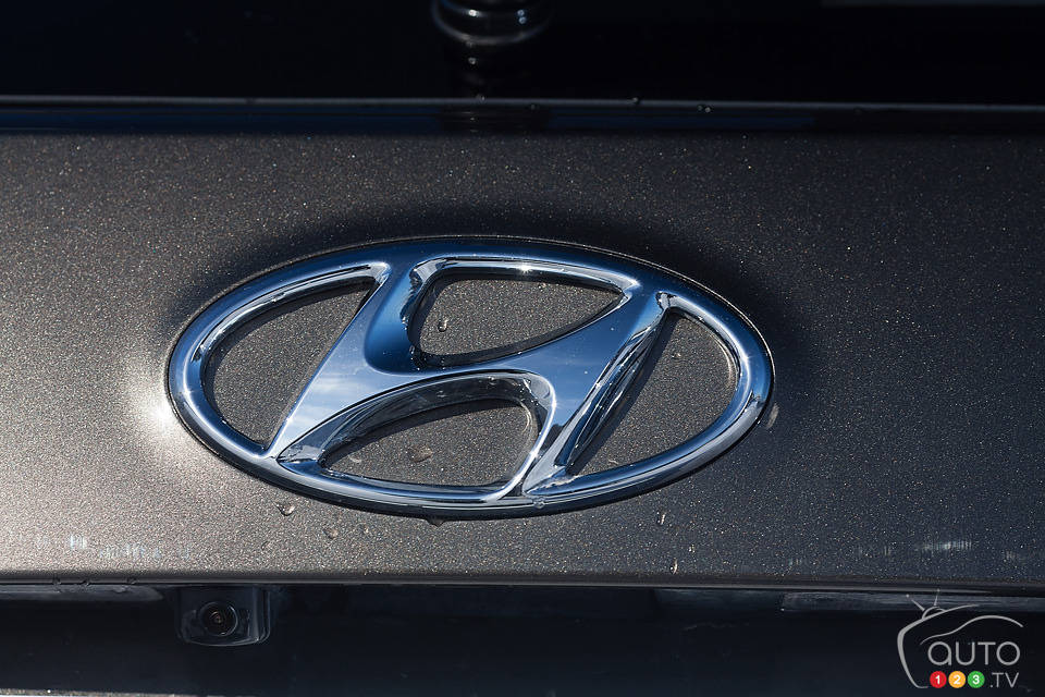 Photo: Sébastien D'Amour