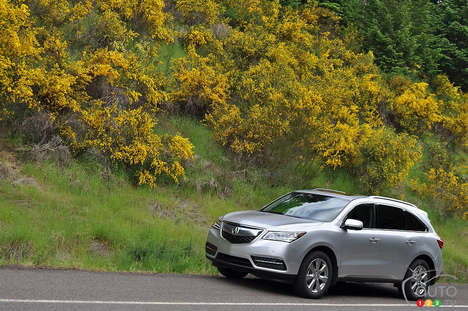 Photo: Mathieu St-Pierre