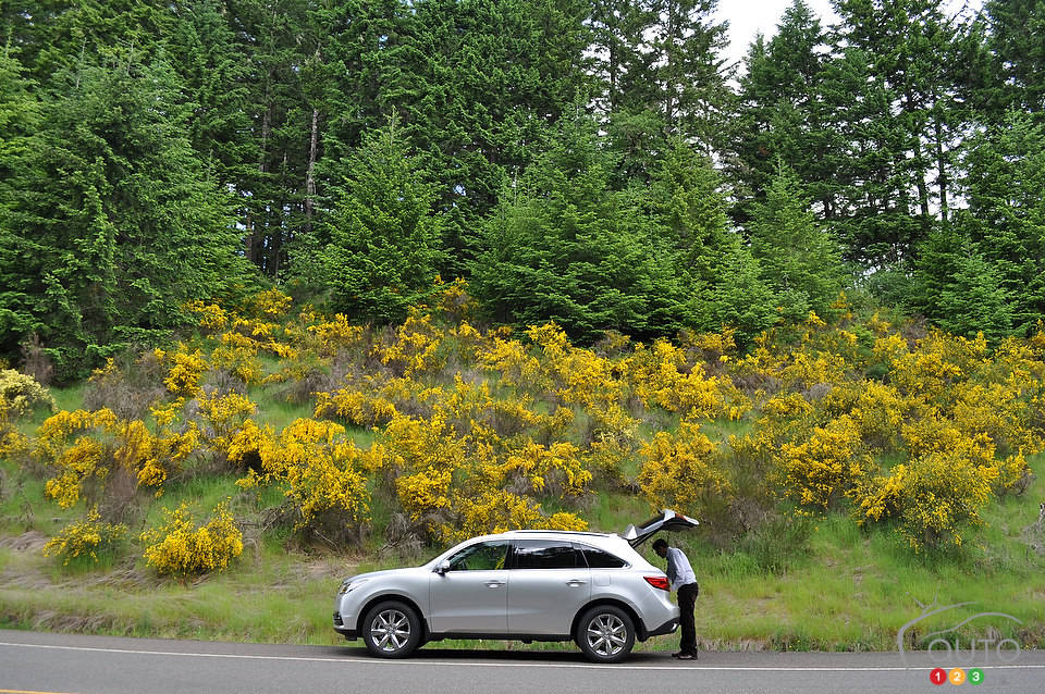 Photo: Mathieu St-Pierre