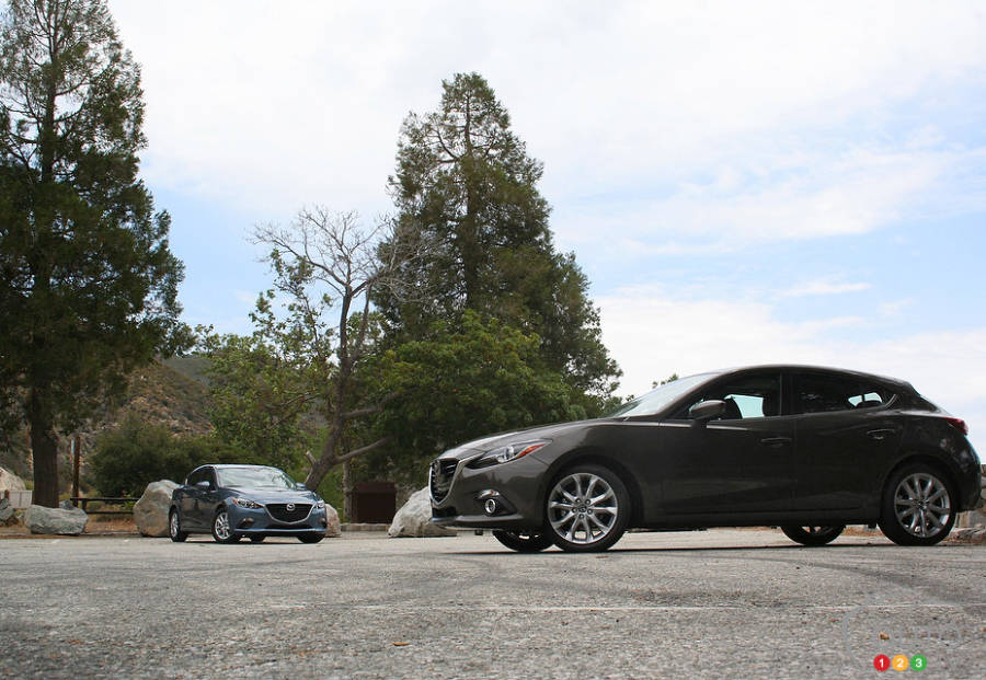 Photo: Miranda Lightstone