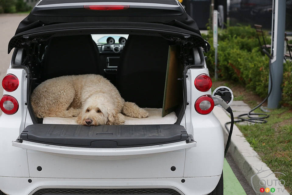 (Photo: Philippe Champoux)