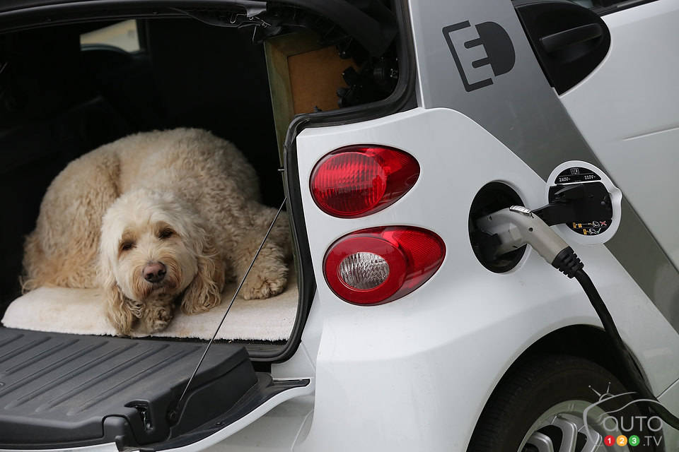 (Photo: Philippe Champoux)