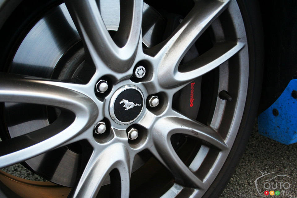 Photo: Miranda Lightstone