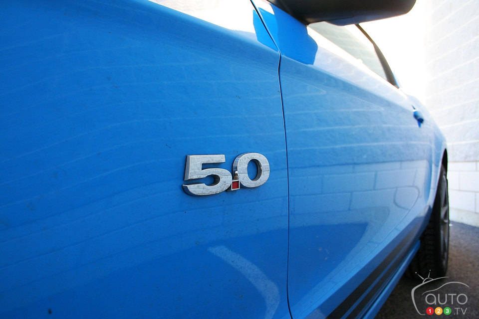 Photo: Miranda Lightstone